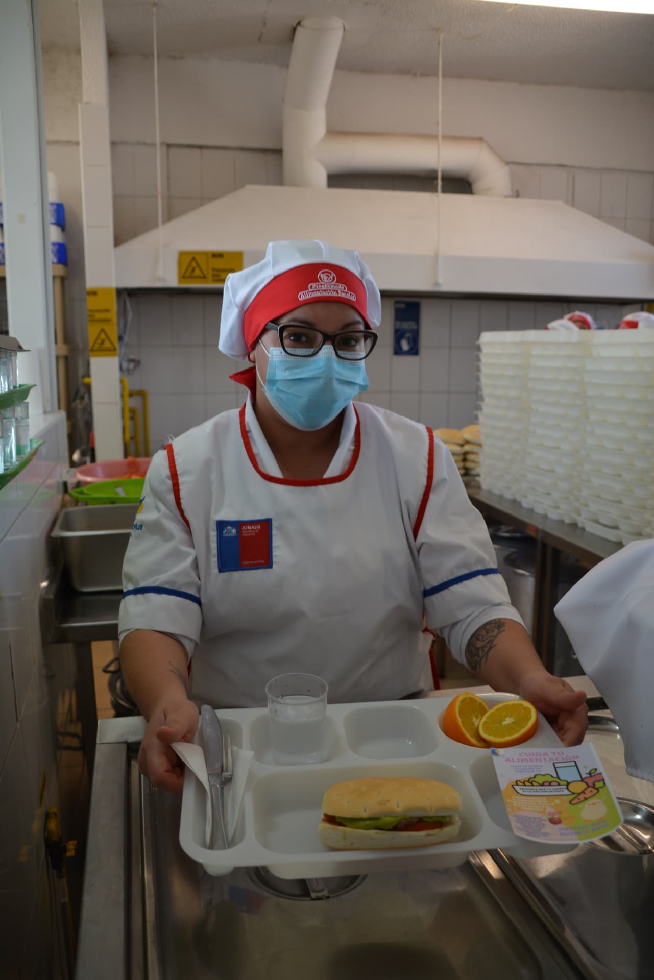 Actividad de Vita alimentos